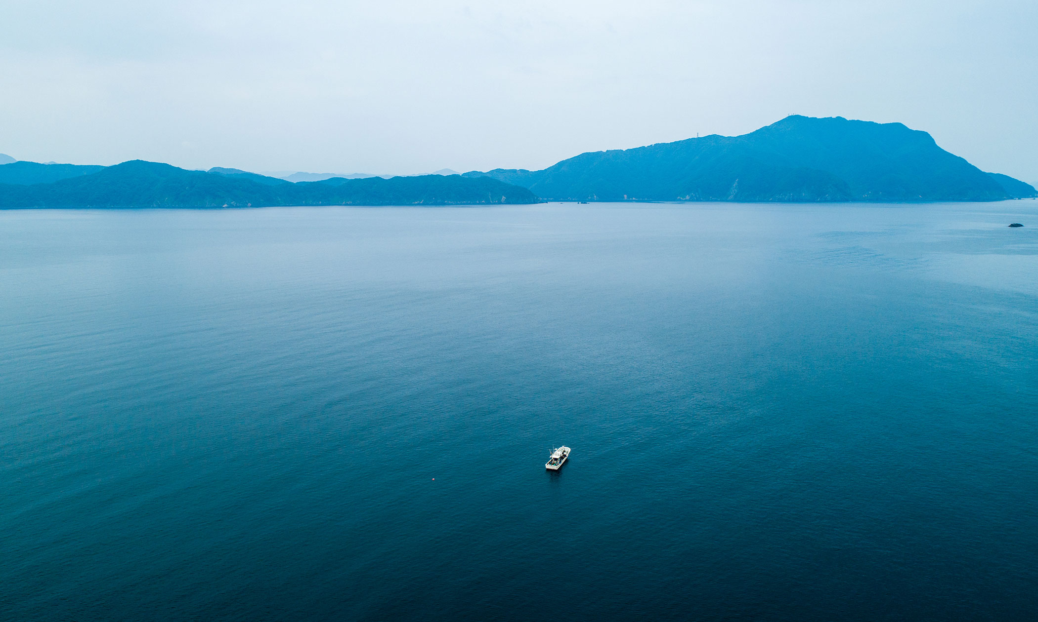 若狭ぐじの写真