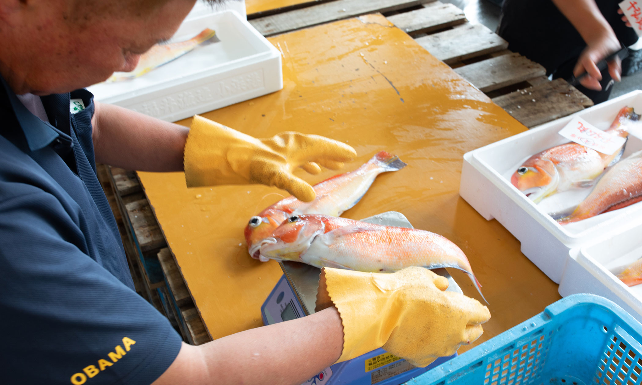 若狭ぐじの写真