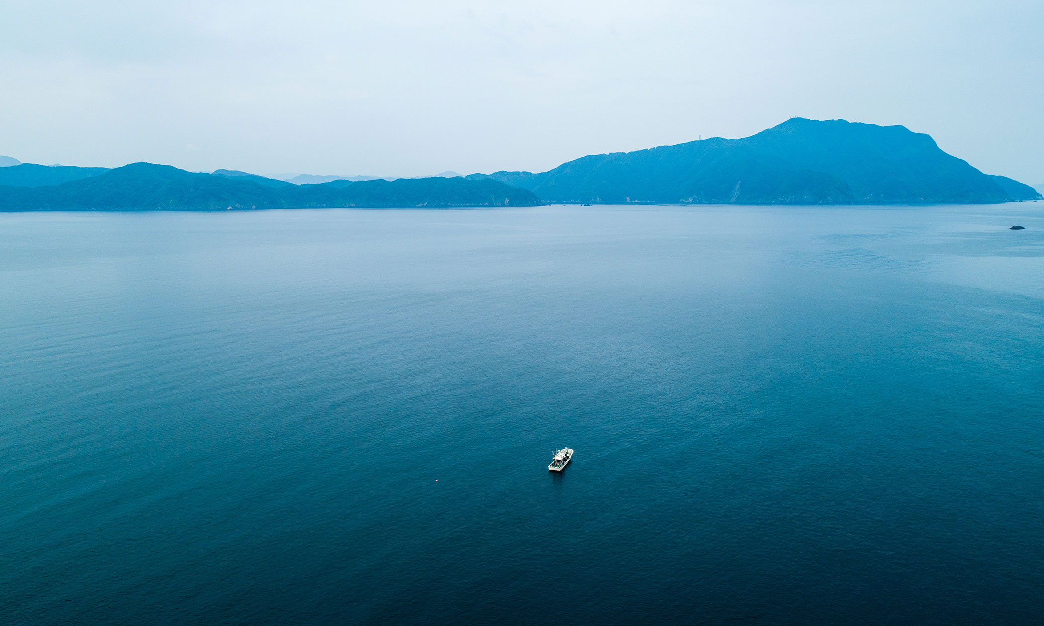 若狭ぐじの写真