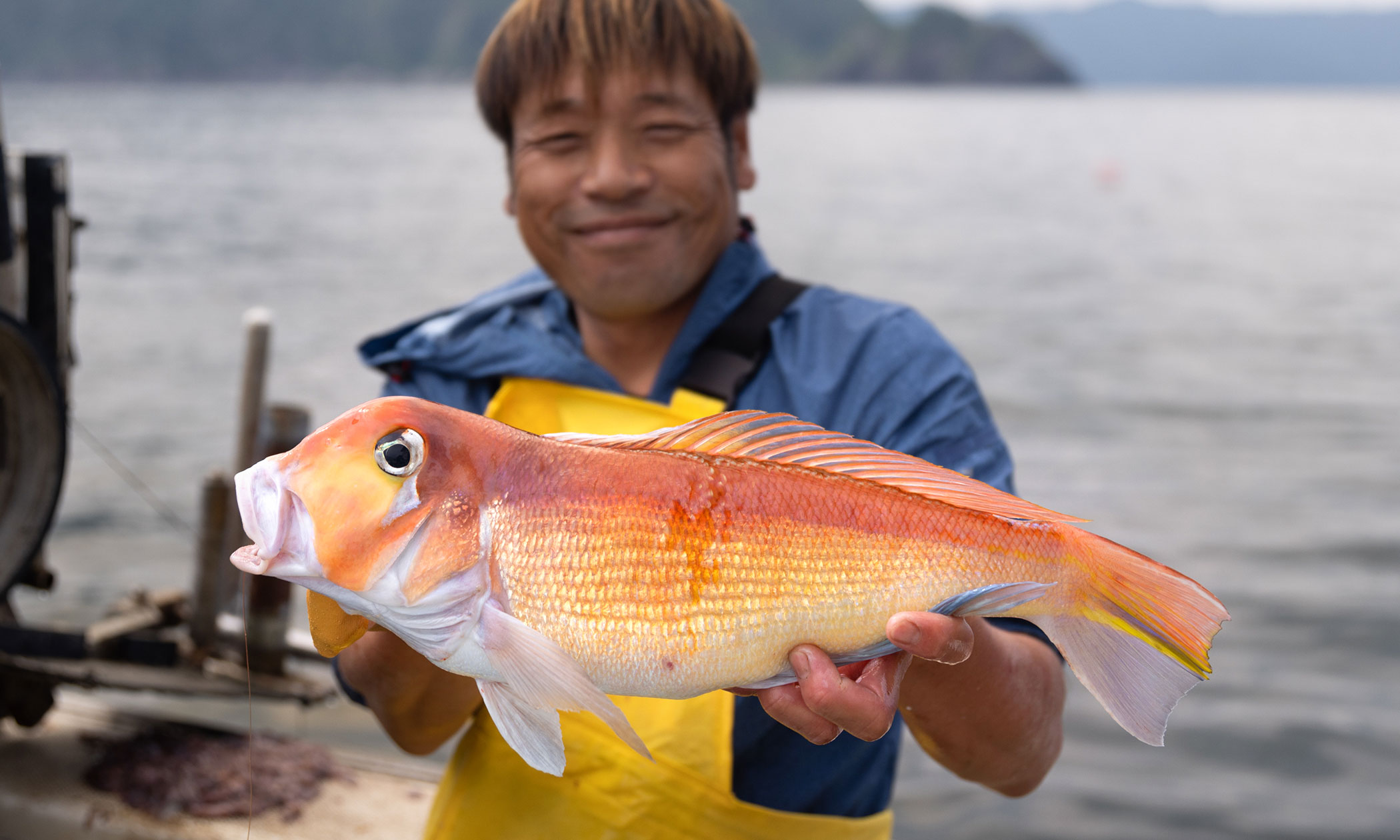 若狭ぐじの写真