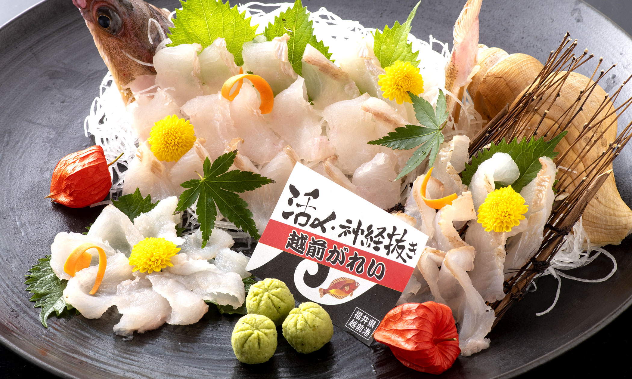 越前がれいの写真