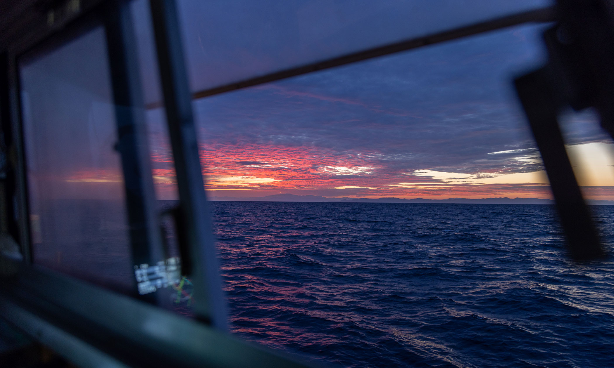 越前がれいの写真