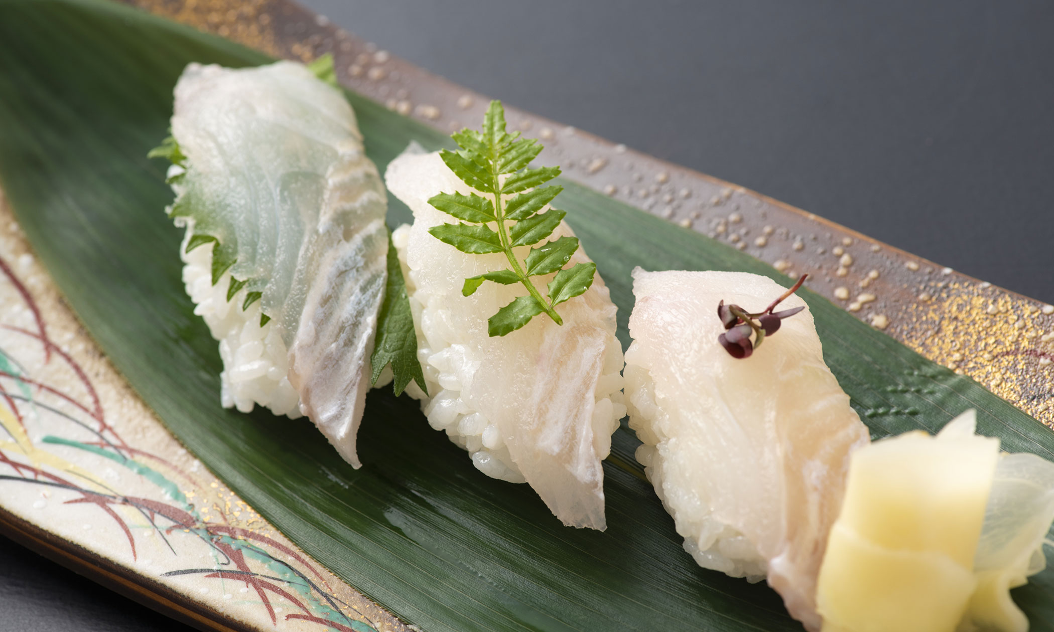 越前がれいの写真