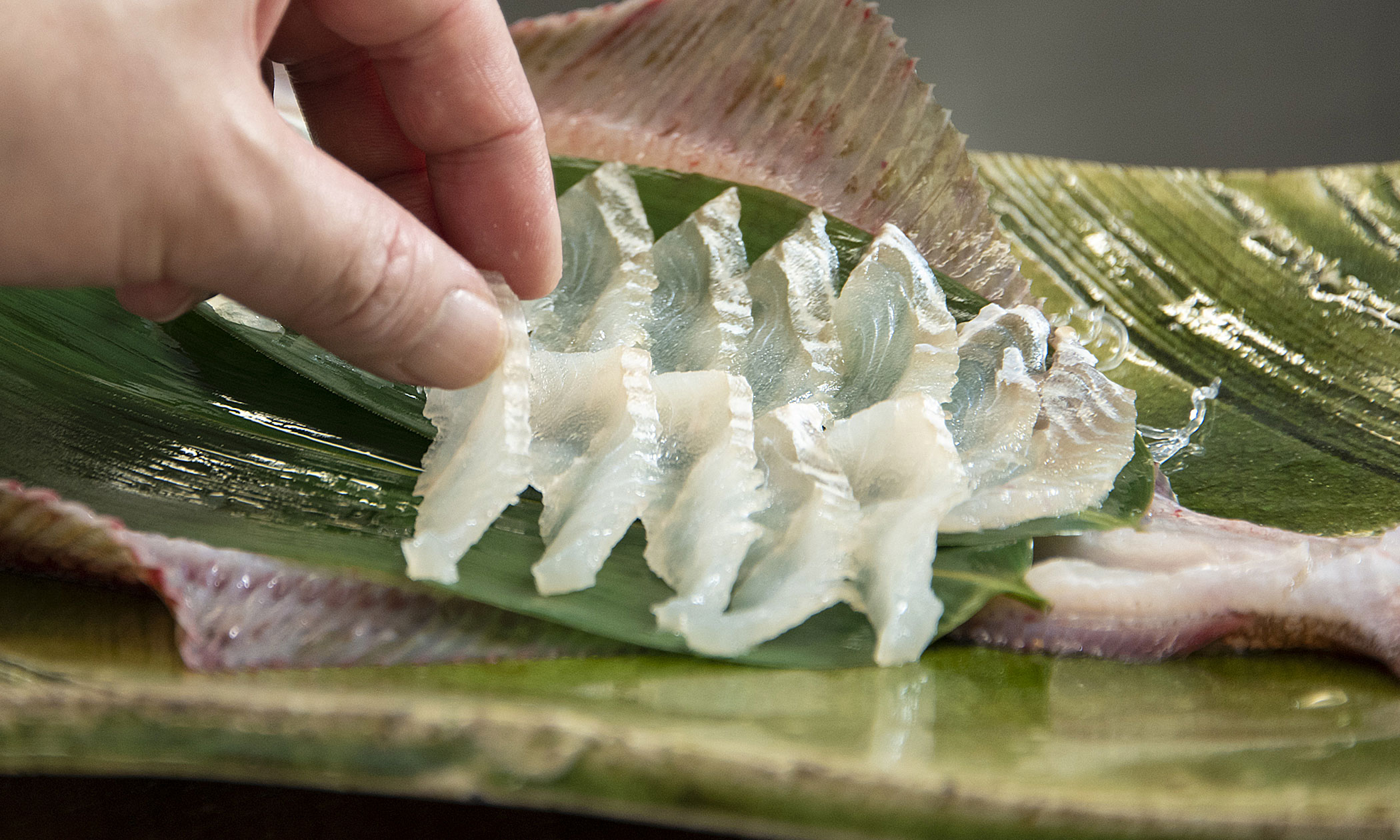 越前がれいの写真