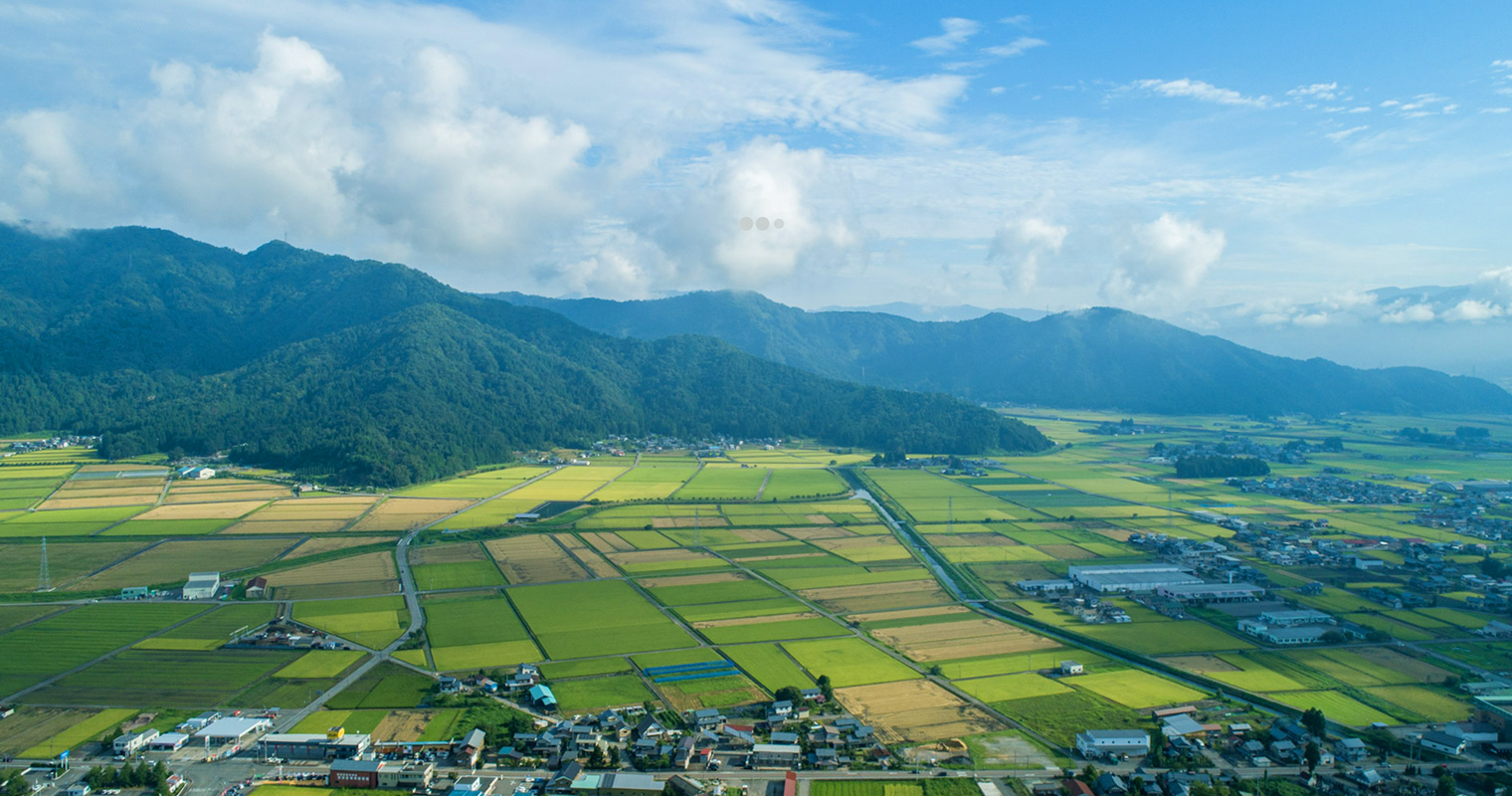 動画のサムネール