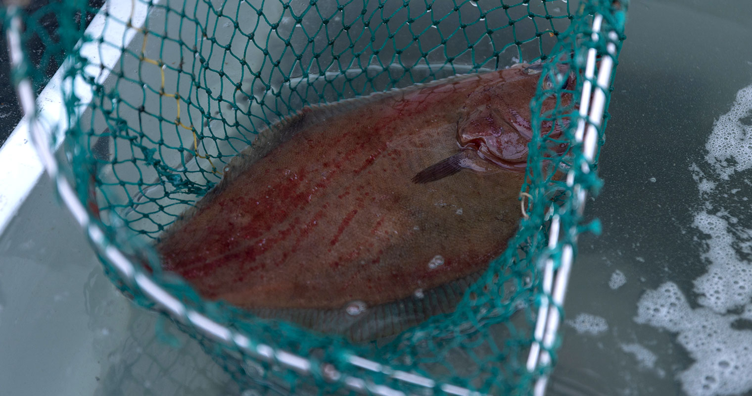 動画のサムネール