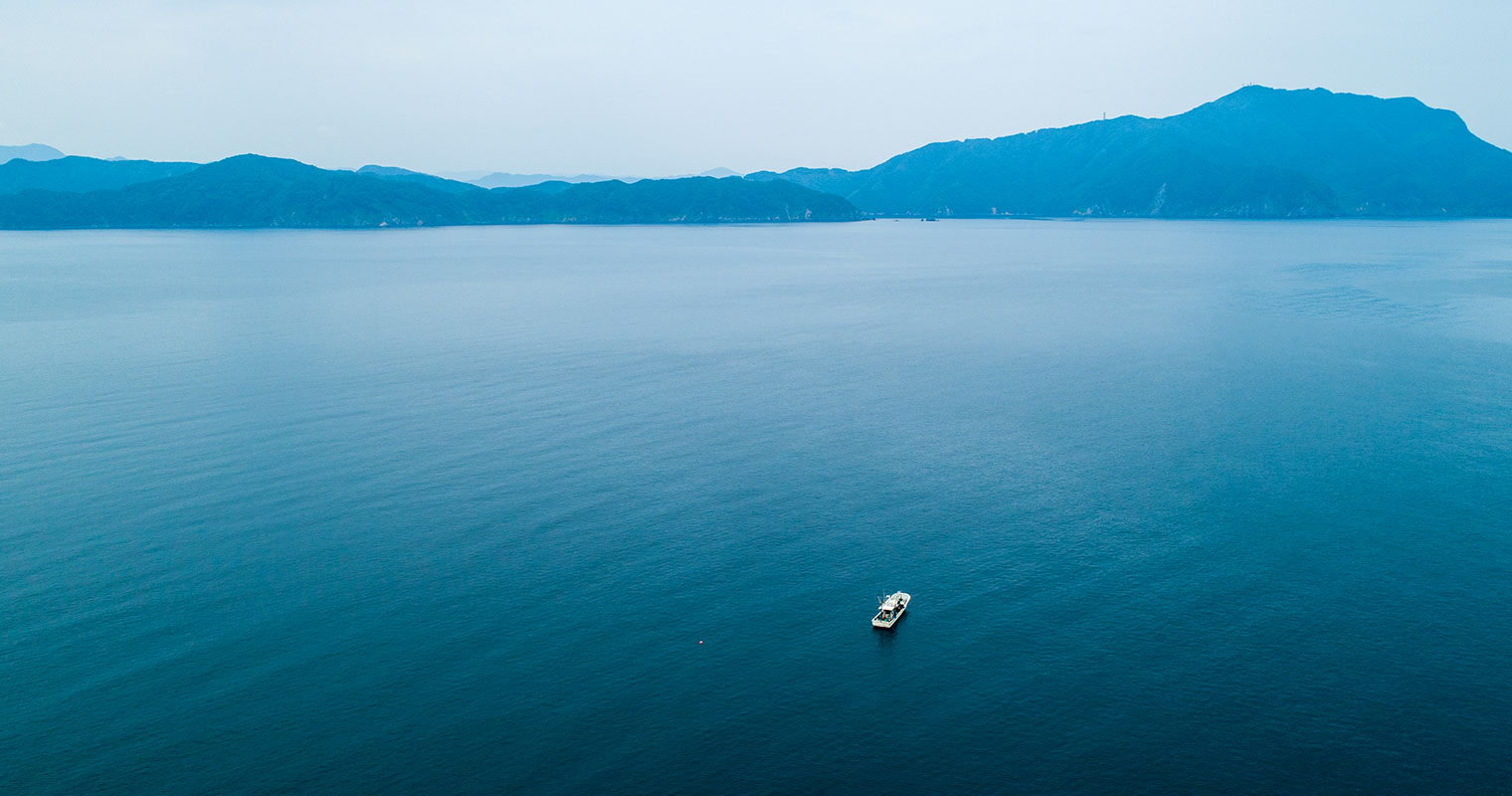 動画のサムネール